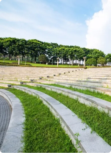 Effective Commercial Landscaping Solutions for Businesses