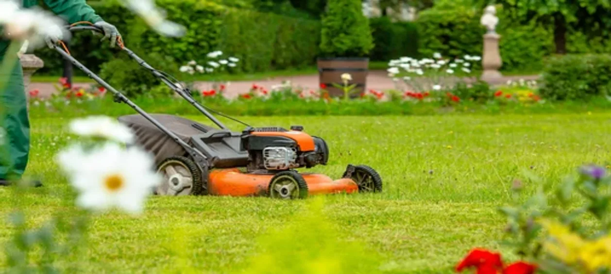 The Green Business Advantage: Unlocking the Benefits of Commercial Landscape Maintenance