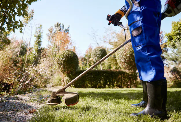 The Cost of Neglecting Commercial Landscape Maintenance: Why Prevention Is Key